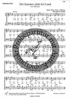 Der Sommer zieht ins Land 