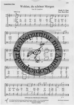 Wohlan, du schöner Morgen 