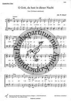 O Gott, du hast in dieser Nacht 