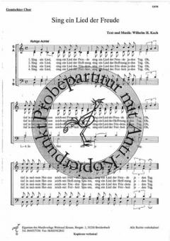 Sing ein Lied der Freude 