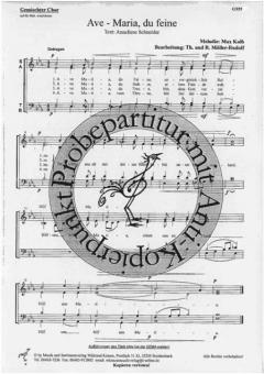 Ave - Maria, du feine 
