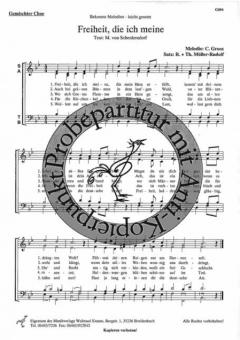 Freiheit, die ich meine 