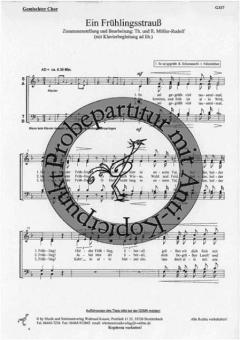 Ein Frühlingsstrauss 