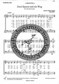 Zwei Spuren und ein Weg 