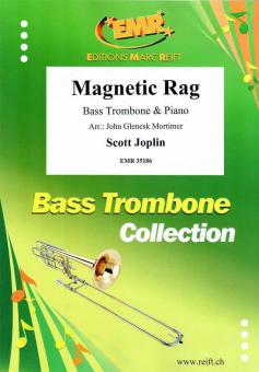 Magnetic Rag Standard