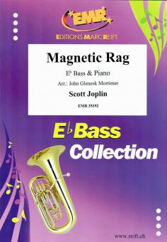 Magnetic Rag Standard
