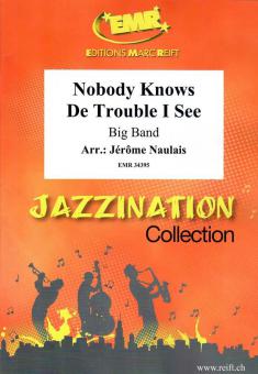Nobody Knows De Trouble I See Download