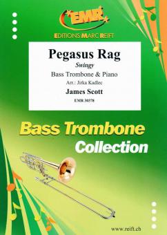 Pegasus Rag Standard