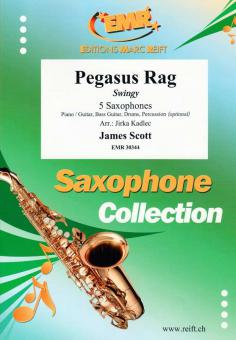 Pegasus Rag Standard