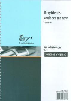 If My Friends Could See Me Now 