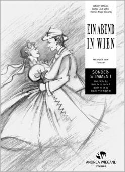 Ein Abend in Wien 