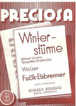Winterstürme 