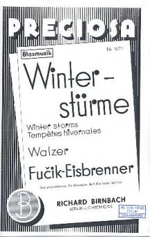 Winterstürme 