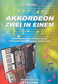 Akkordeon Zwei in Einem 