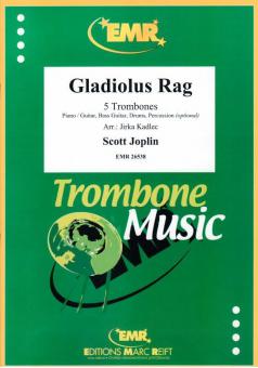 Gladiolus Rag Standard