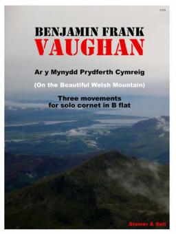 Ar Y Mynydd Prydferth Cymreig 