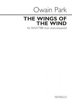 The Wings Of The Wind 