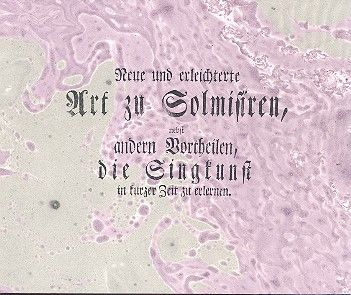 Neue und erleichterte Art zu Solmisiren 