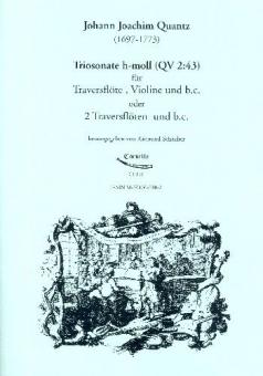 Triosonate h-moll QV 2:43 