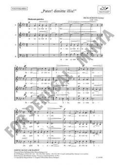 'Pater! dimitte illis!' 