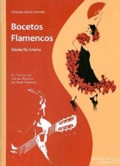 Bocetos Flamencos 