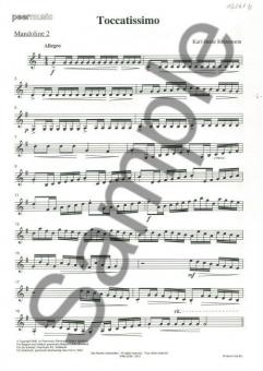 Toccatissimo 
