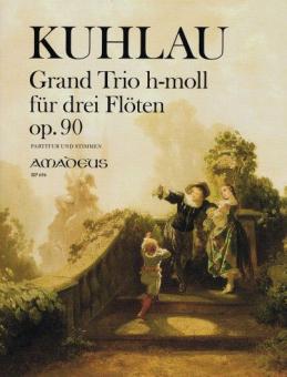 Grand Trio in h-moll op. 90 