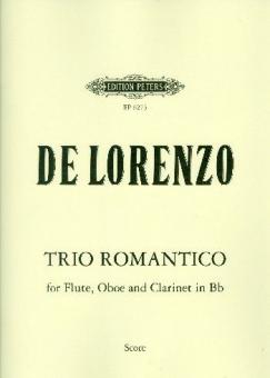 Trio romantico op. 78 