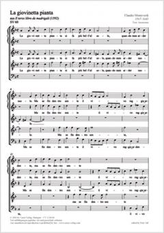 La giovinetta pianta Standard