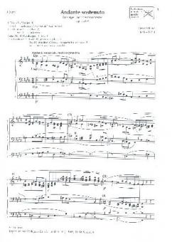 Andante sostenuto op. 75/3a 