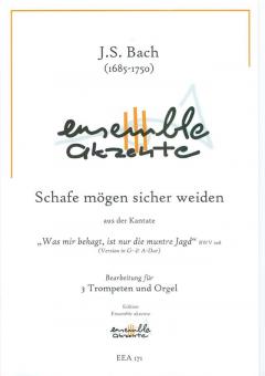 Schafe mögen sicher weiden Standard