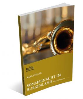 Sommernacht im Burgenland 