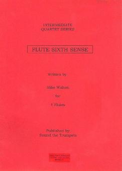 Flute Sixth Sense 