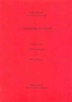 Cluster Buster 