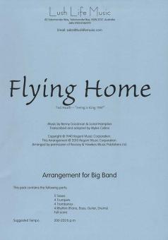 Flying Home 