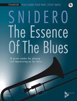 The Essence of the Blues Standard