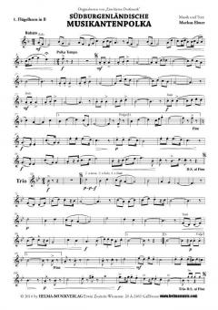 Südburgenländische Musikantenpolka 