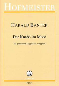 Der Knabe im Moor 