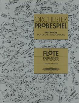 Orchester-Probespiel für Flöte/Piccoloflöte 