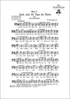 Noch sind die Tage der Rosen 