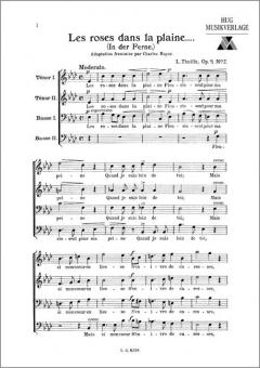 Roses dans la plaine 