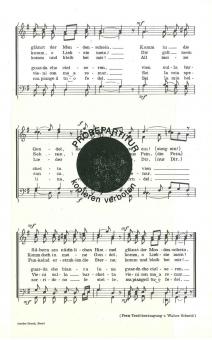 Vieni sulla barchetta 