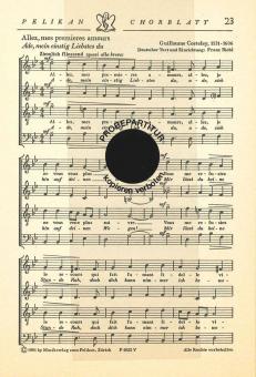 Allez mes premieres amours 