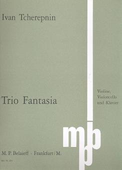 Trio Fantasia für Violine, Violoncello und Klavier 