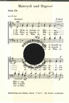 Maierysli und Hagrose 
