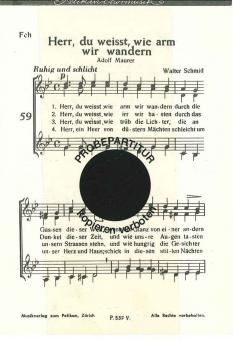 Herr du weisst wie arm wir 