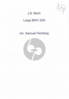 Largo from Organ Sonata No. 5 BWV 529 
