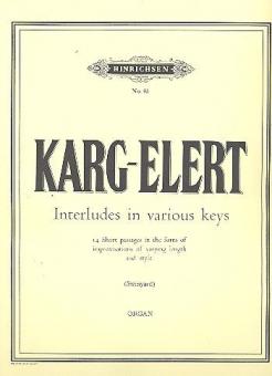 Interludes in Various Keys 