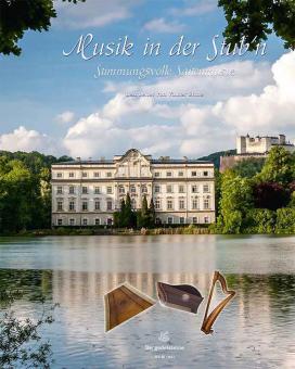 Stimmungsvolle Saitenmusik 