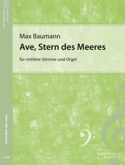 Ave, Stern des Meeres 